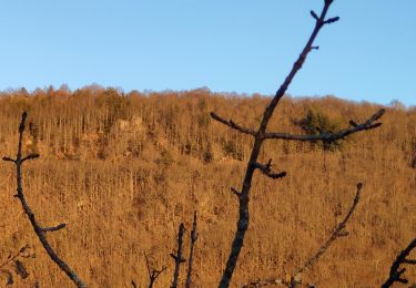 Trail Walking Badaroux - Pelgeires,le Born la Rouviere  - Photo