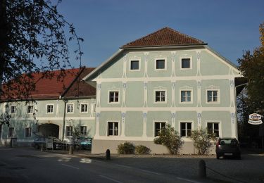 Trail On foot Kirchberg-Thening - Rundwanderweg Thening - Photo