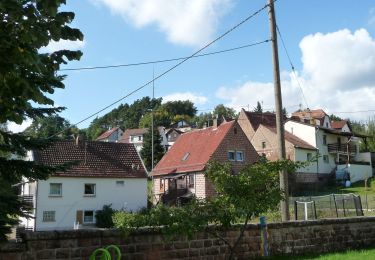 Tocht Te voet Elmstein - Rundwanderweg Iggelbach 5 - Photo