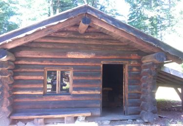 Tour Wandern Wegscheid - Sattelboden - Photo