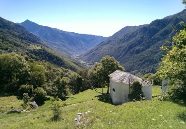 Tour Zu Fuß Balme - (SI E33) Balme - Pialpetta (Groscavallo) - Photo