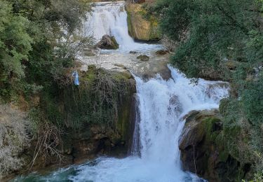 Excursión Senderismo Carcès - carces - Photo