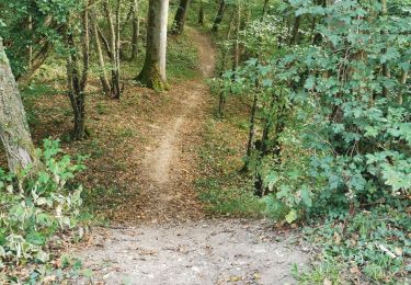 Randonnée V.T.T. Tonnoy - Tonnoy - Bois de Richardménil - Photo