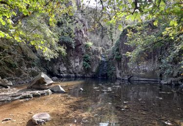 Tour Wandern Thouars - DEUX-SEVRES / THOUARS: CASCADE DE POMMIERS (Ruisseau du Presssoir) - Photo