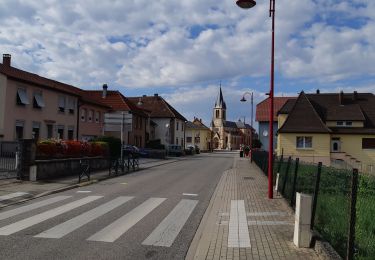 Randonnée Vélo de route Rohrbach-lès-Bitche - EXT 85-01 Rohrbach les Bitche - Photo