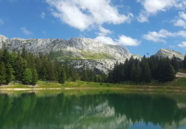 Trail Walking Villard-de-Lans - Pas de L'OEILLE, circuit au départ des Glovettes (Villard de Lans) - Photo