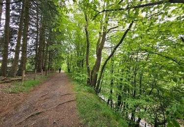 Tour Wandern Stablo - La Croix des Fiancés  - Photo
