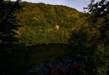 Tour Zu Fuß  - Nackarpsrundan - Photo