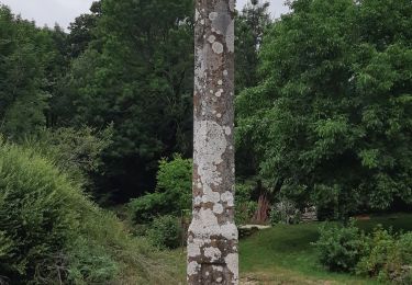 Randonnée Marche Trélans - Les plagnes à Saint Chely l'aubrac  - Photo