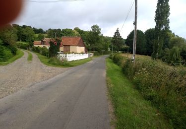 Percorso A piedi Saint-Aubin-des-Coudrais - St AubinPR-9 court - Photo