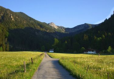 Excursión A pie Fischbachau - Wanderweg 595 - Bayrischzell - Birkenstein - Fischbachau - Neuhaus - Photo