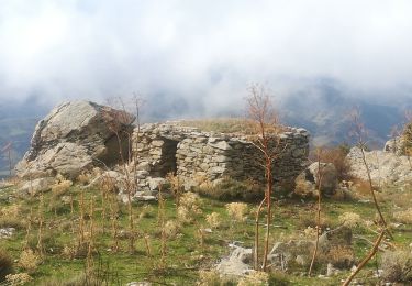 Randonnée Marche Pietralba - Boucle des bergeries - Photo