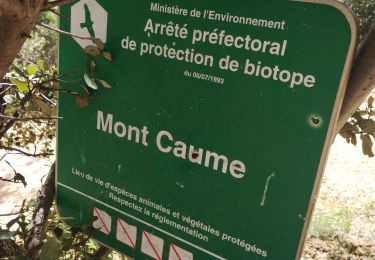 Trail Walking Le Revest-les-Eaux - le Mt Caume  - Photo