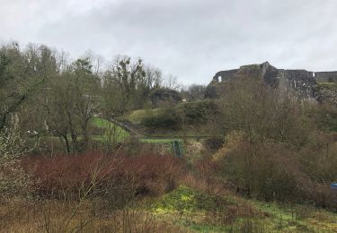 Randonnée Marche Wanze - CHATEAU DE MOHA - Photo