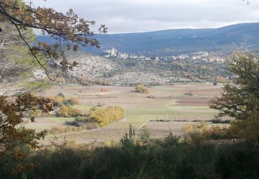 Randonnée Marche Blauvac - blauvac - Photo