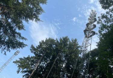 Tocht Stappen Renaison - Saint-Haon-le-Châtel : Pardières - Photo