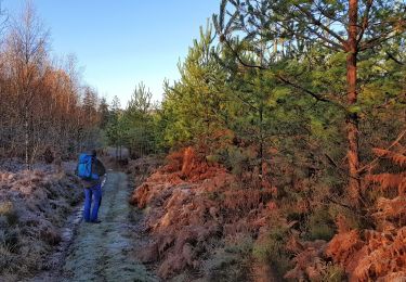 Tour Wandern Viroinval - Balade dans le Viroinval - Le Mesnil - Photo