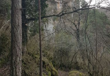 Randonnée Marche Nant - Durzon et Canoles - Photo