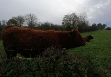 Randonnée Marche Sprimont - À la recherche de petits chemins - Photo