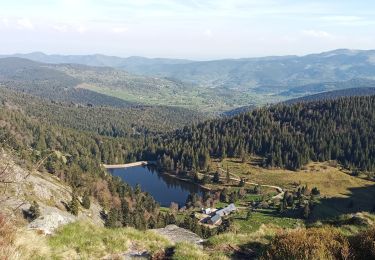 Trail Walking Soultzeren - Lac vert crêtes - Photo