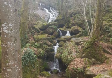 Percorso Marcia Escoussens - 81-Escoussens-la Blancarie-cascade de Mouscaillou-04/03/2023 - Photo