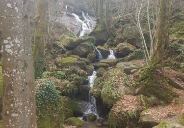 Trail Walking Escoussens - 81-Escoussens-la Blancarie-cascade de Mouscaillou-04/03/2023 - Photo