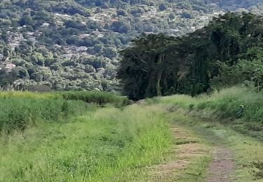 Percorso Marcia Le Lamentin - Gaigneron grand parcours  - Photo