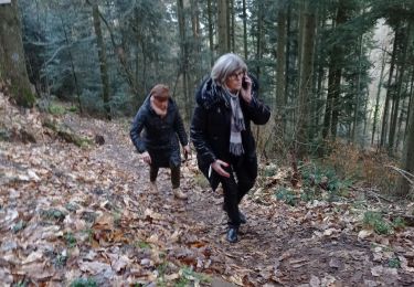Excursión Senderismo Barr - la der d'Alsace - Photo