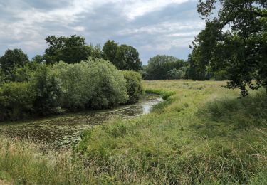 Tocht Stappen Bréhémont - Bréhémont - Rivarennes Lignières-de-Touraine - 23.6km 210m 5h40 (55mn) - 2025 05 31 - Photo