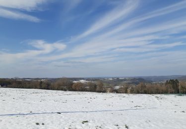 Randonnée Marche Theux - ferme haut marais . vert Buisson . croix papet . les cours . farineux  - Photo