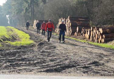 Percorso Marcia Nivillac - Saint Criq rives gauches de la Vilaine  - Photo