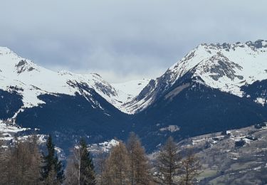 Randonnée Marche La Plagne-Tarentaise - plan bois - Photo