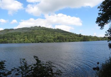 Percorso A piedi Sconosciuto - Castlewellan Forest Park - Moorish Tower Walk - Photo