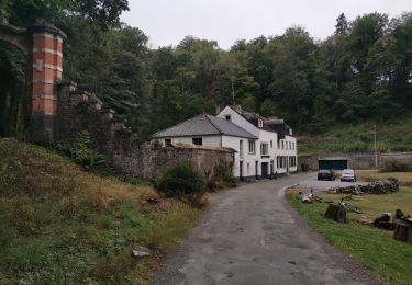 Excursión Bici de montaña Namur - ile d'yvoir via Lesves Arbre retour via Wepion(Marlagne)  - Photo