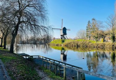 Tocht Stappen Diest - Webbekoms Broekwandeling - Rood - Photo