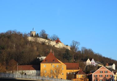 Tocht Te voet Burglengenfeld - Panoramasteig im Städtedreieck (Dunkelblaue 6) - Photo