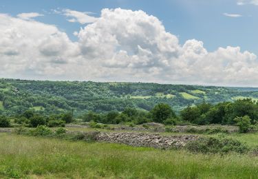 Tocht Te voet Mouret - Le Causse Comtal - Photo