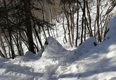 Percorso Marcia Veyrier-du-Lac - Mont Baret - Photo