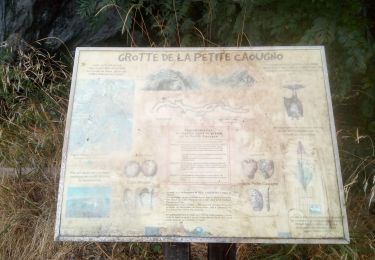 Tocht Stappen Niaux - Niaux  - Photo