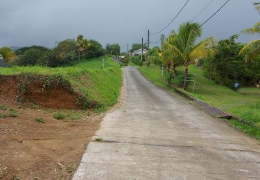 Trail Walking Le Lorrain - Chemin Gauthier - Chemin Tanic - Photo