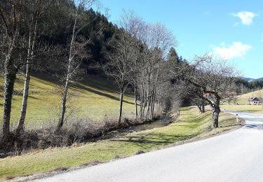 Tour Zu Fuß Kainach bei Voitsberg - Wanderweg 60 - Photo