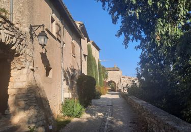 Percorso Marcia Savasse - Savasse et Vieux Village 8km - Photo