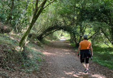 Tocht Stappen Pont-Aven - le bois d'Amour - Photo