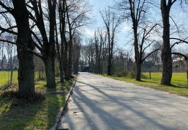 Tour Wandern Berchem-Sainte-Agathe - Sint-Agatha-Berchem - Tour de l’échangeur 10 km  - Photo