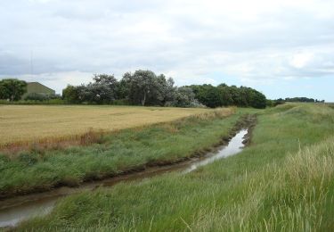 Tour Zu Fuß Rochford - Roach Valley Walk - Photo