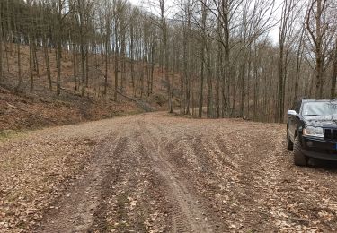 Randonnée Marche Le Clerjus - 13-03-22 piste pour 4x4 et boucle à pied étang de Corbefaing - Photo