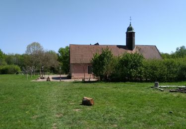 Randonnée Marche Lautenbach - val du pâtre et cimetière Roumain - Photo