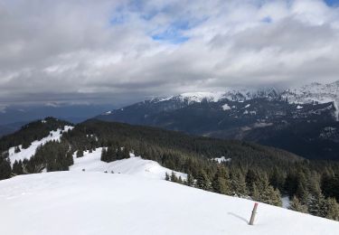 Randonnée Marche Crêts-en-Belledonne - Crêt du poulet 11-02-2020 - Photo