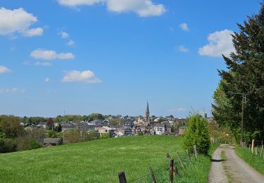 Trail Walking Raeren - 2021-10-15_00h45m26_t18956564_route vallee de la - Photo