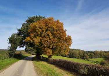 Trail Walking Raeren - Hauset - Photo